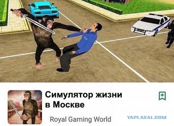 В Воронеже задержан таксист, зарезавший пассажира в Петербурге