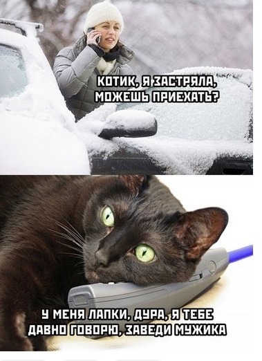 Фея и её волшебная палочка
