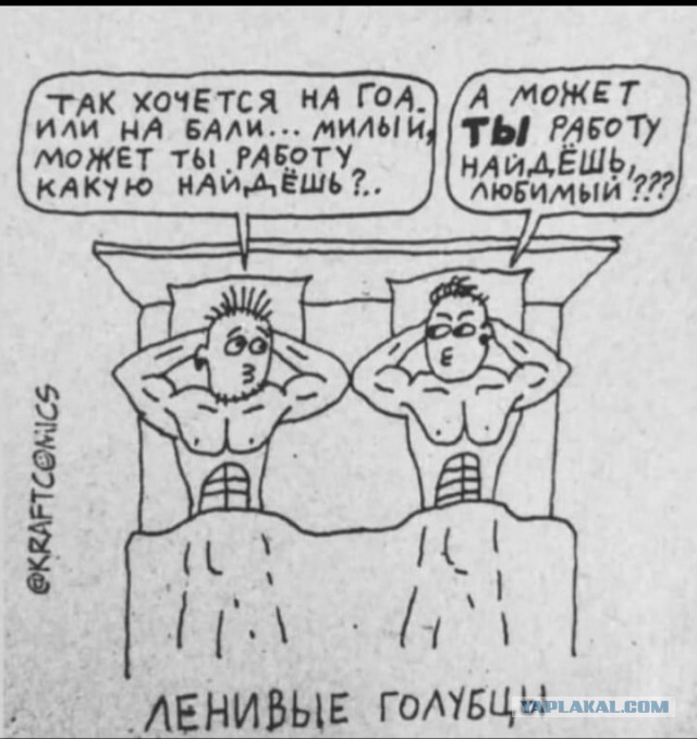 Забавные шутки, фразы, картинки из этих ваших интернетов