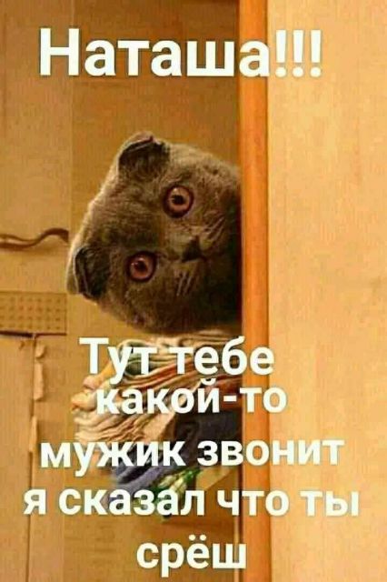 Картинки и буквы 15.07.22