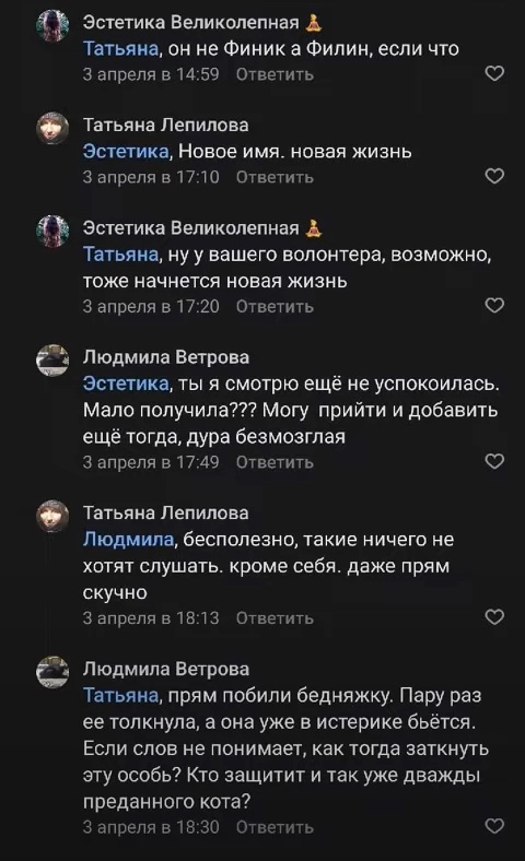 В Воскресенске волонтёр избила фотографа из-за комментария под фото с котиком