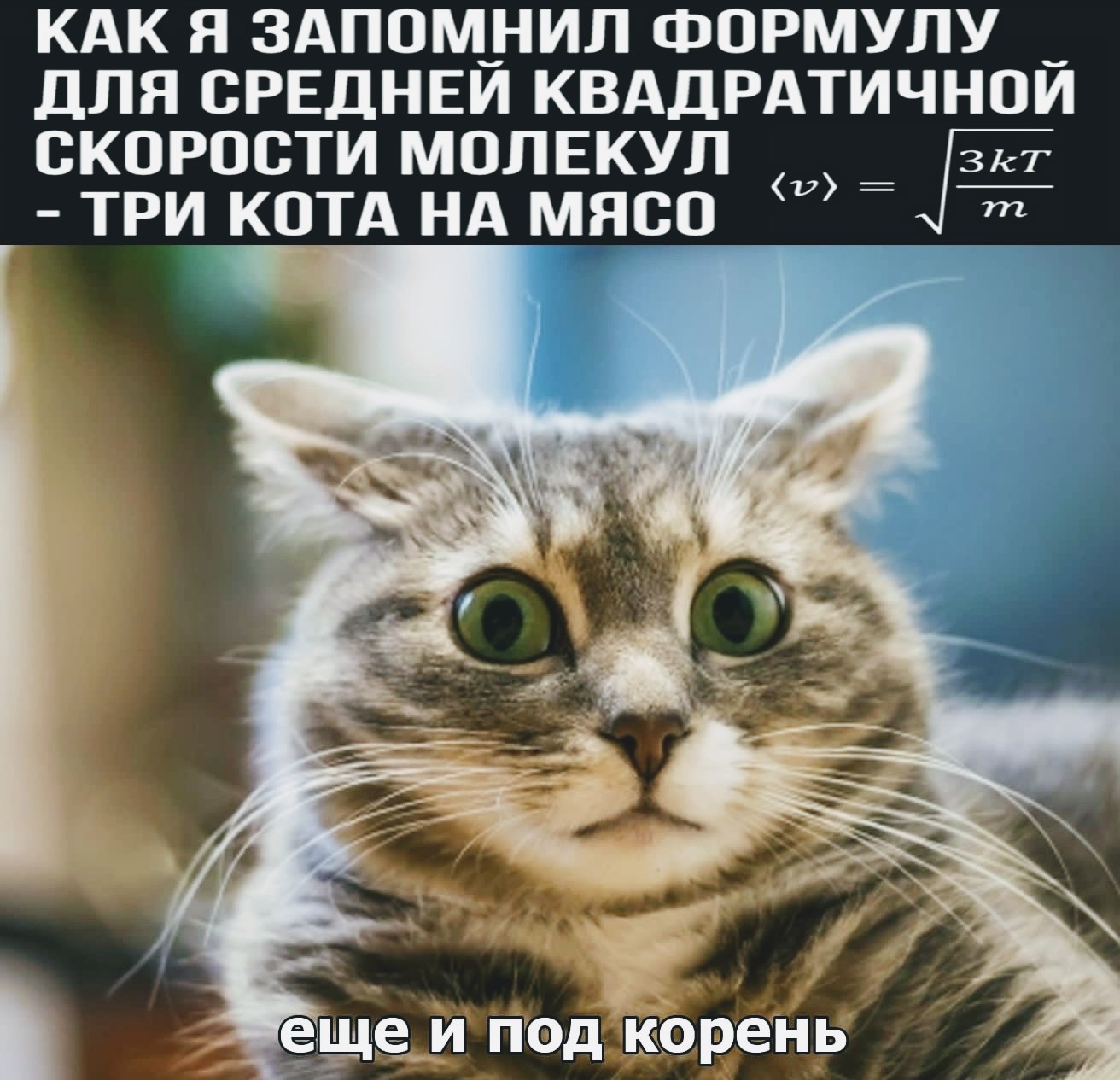 16680645.jpg