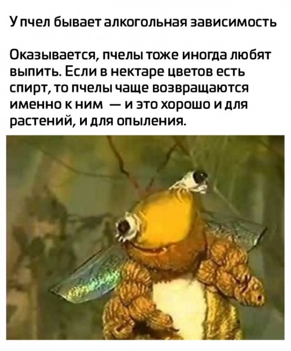 Картинки и мемы, начало праздников