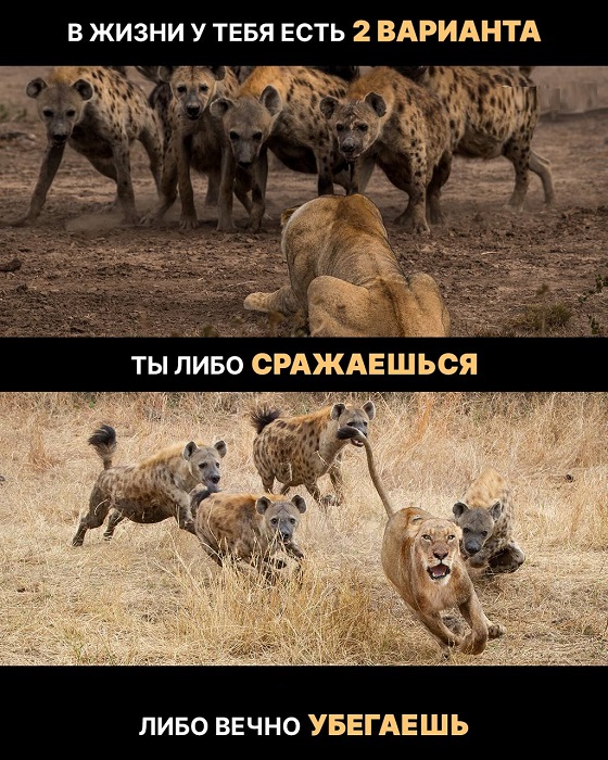 Картинки со смыслом