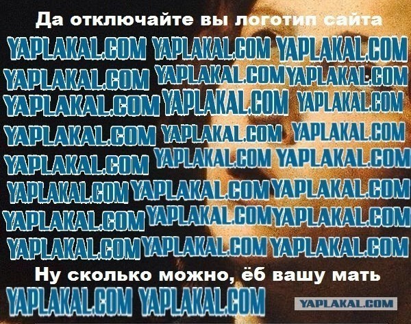 Котёнок по имени Гав