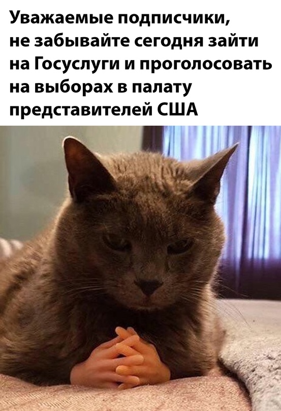 Картинки и мемы для настроения - 119