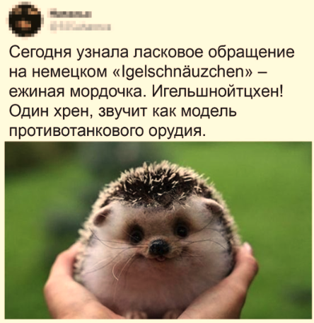 У будущей жены должна быть квартира и машина