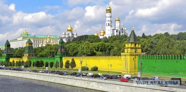 Дворовые приключения