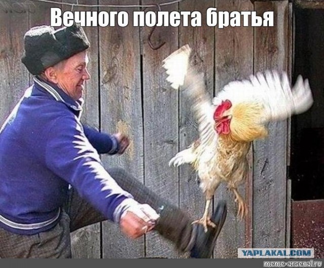 9 человек погибли сегодня в результате крушения вертолетов Ми-8 и самолетов Су-34 и Су-35 в Брянской области