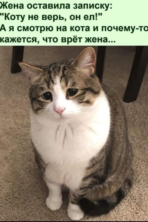 Так себе картинки 24.07.23