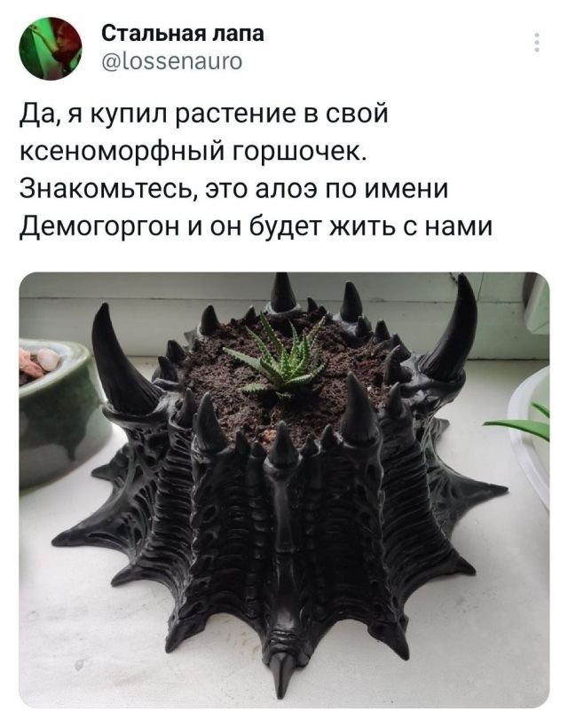 Так себе картинки 30.09.2023