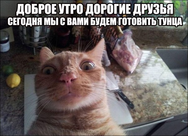 Почетный караул к дню Победы!
