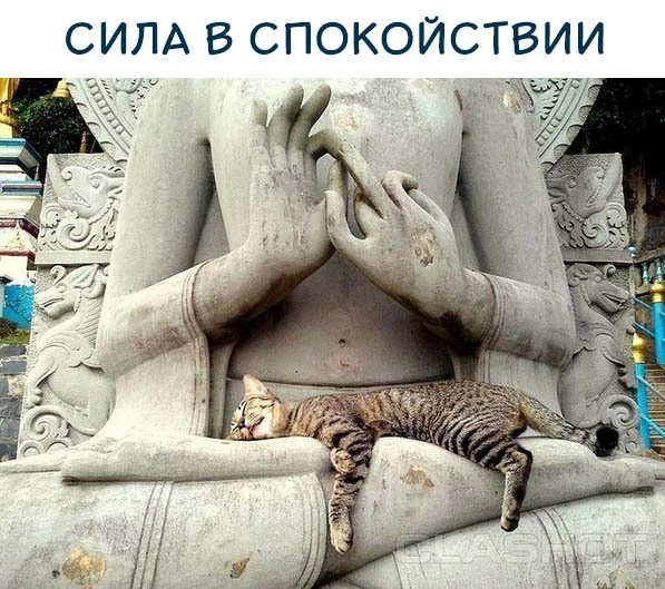 Немного наркомании и шизофрении в ленту. Часть 2