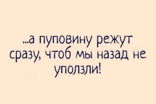 https://s00.yaplakal.com/pics/pics_original/5/4/6/19736645.jpg