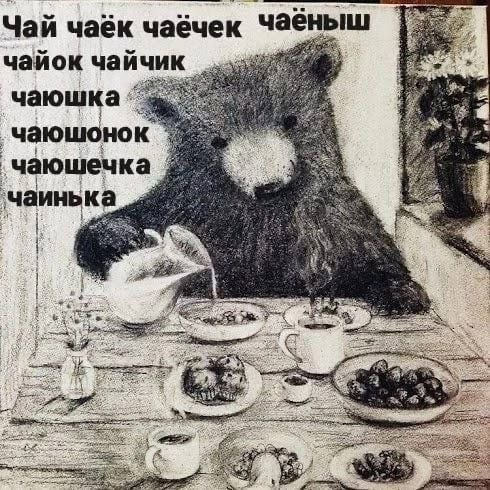 Так себе картинки 20.02.25