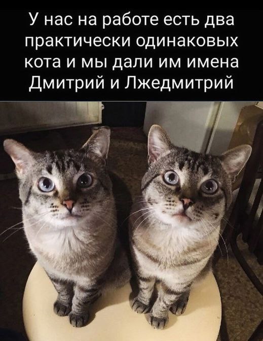 Картинки разные с надписями и без