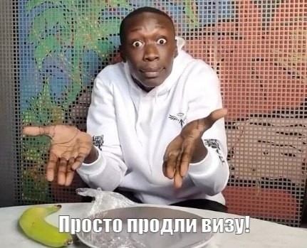 Популярного тиктокера Хаби Лейма задержала миграционная полиция в США