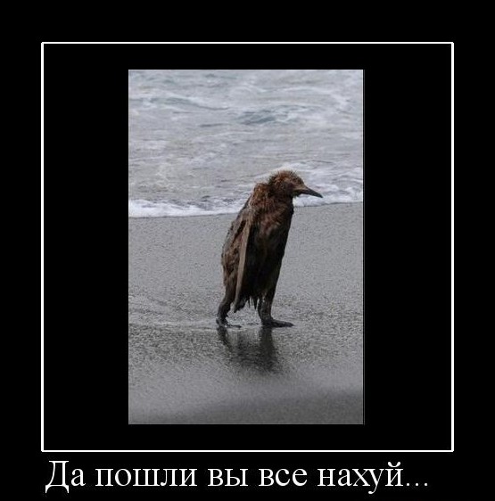 Грусть-тоска одолевает? Ебанина поспевает!