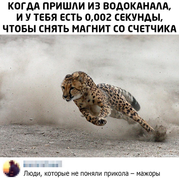 20652645.jpg