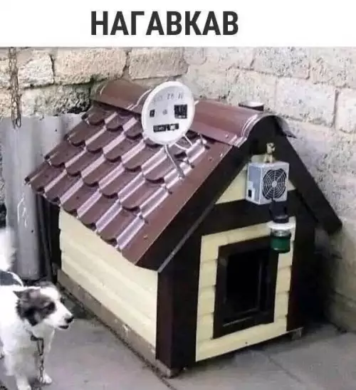 Картиночки, баянчики 21 февраля