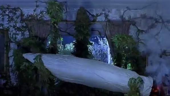 Суровый Афганский ельник