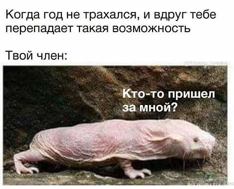 Картинки для деградации 196 (разной степени свежести)