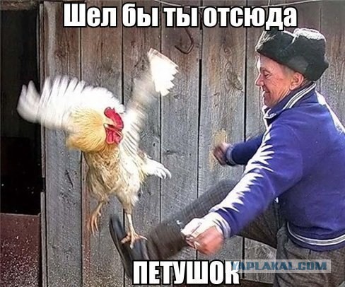 Лоза о смерти Горшка. С юморком.