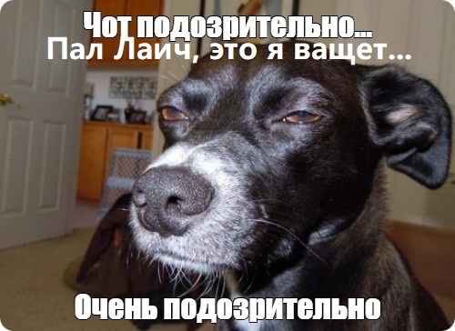 «Пал Лаич»