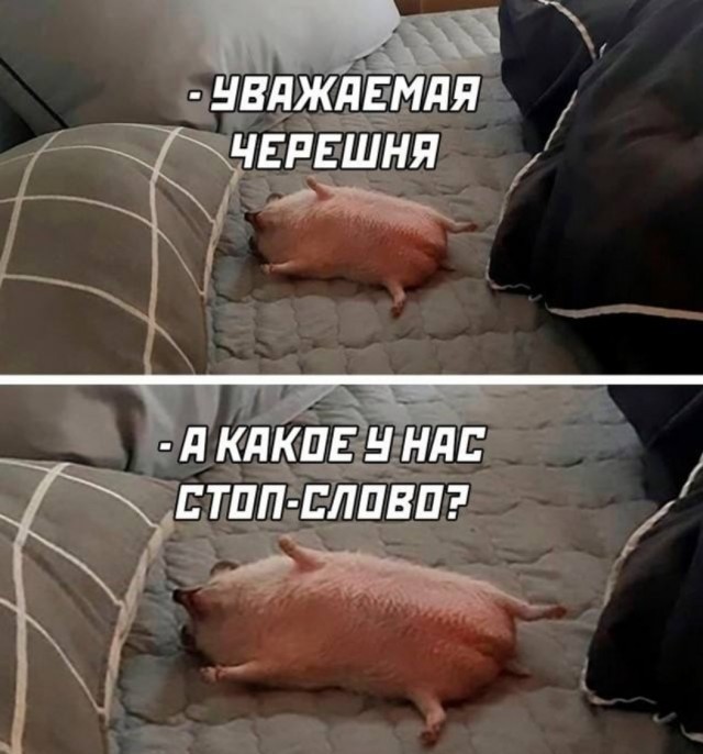 Отсутствие морально этических норм Vol.80
