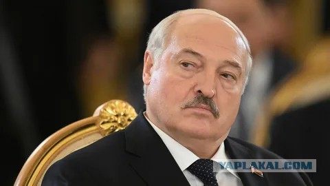 Кулибин епти - Конец первого сезона