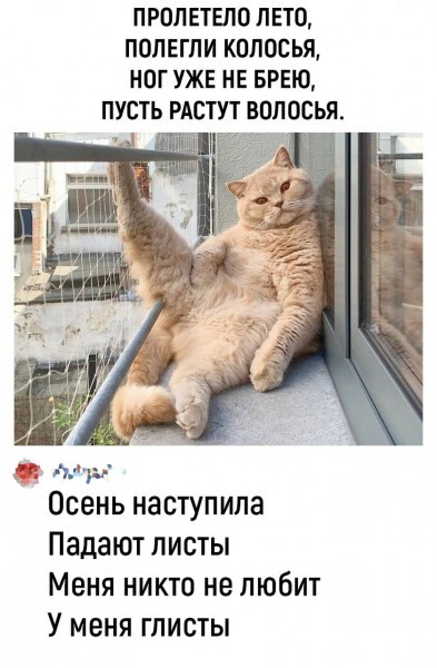 Осень наступила...