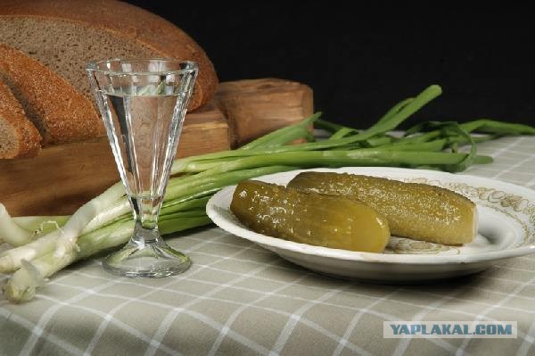 Органическая жизнь в кеге со свежим пивом.