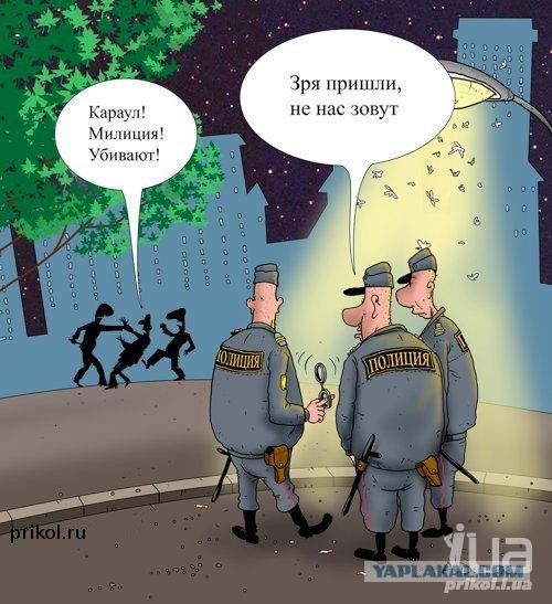 Новые звезды