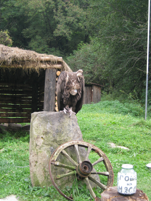 Карачаево-Черкессия