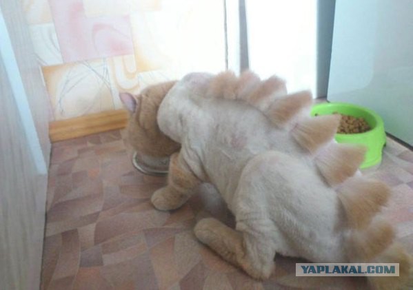 Обычный день..