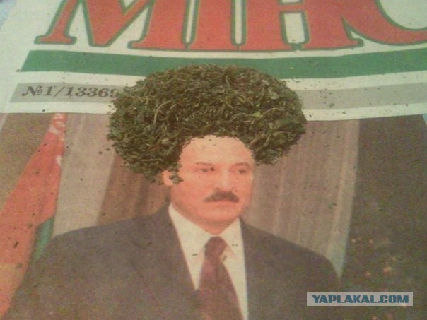 Весёлые картинки. Разбавим будни