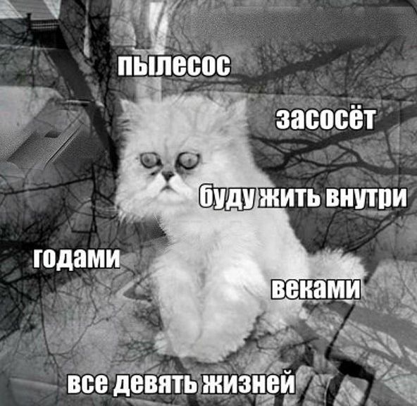 Удар ниже пояса