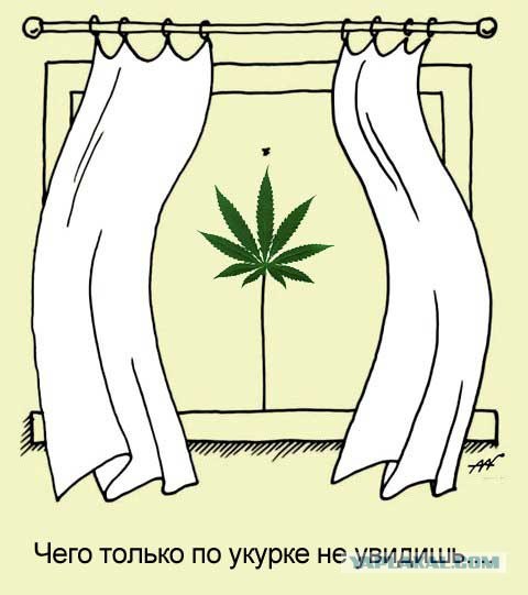 Натюрморт