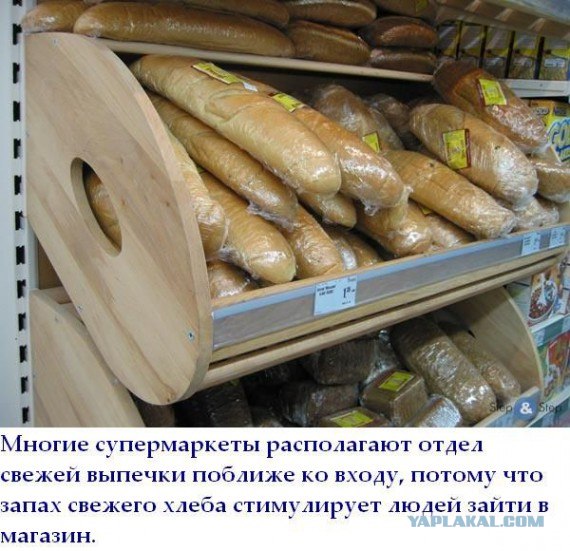 Факты в картинках