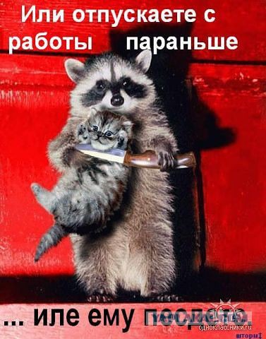 Немного позитива на пятницу.