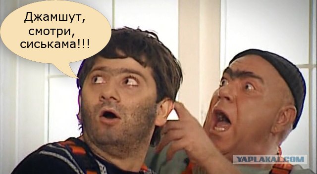Субботние сиськи.