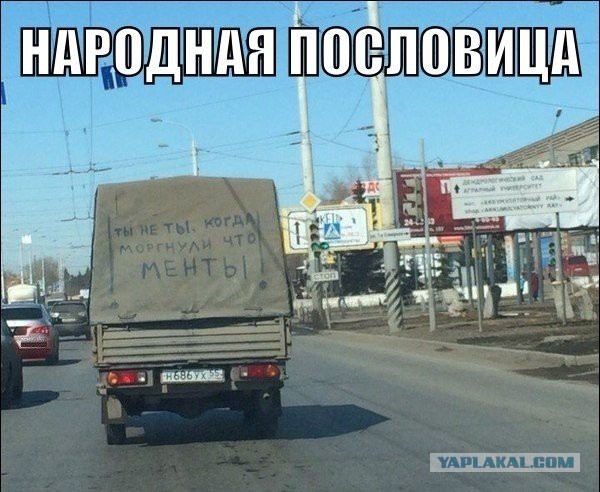 Забавные картинки из Сети