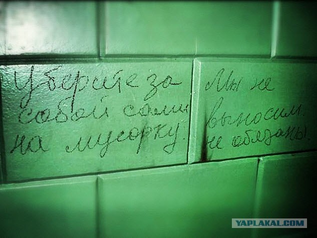 34 правдивых надписей на стенах