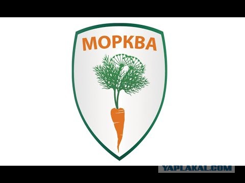 Яценюк взялся за воспитание патриотов