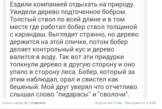 Ужасы и приколы из соцсетей 18+