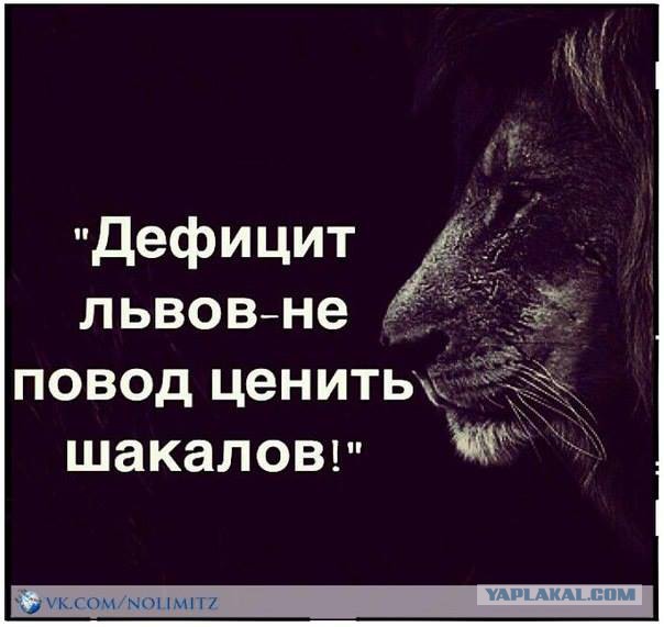 10 политических картинок часть 15