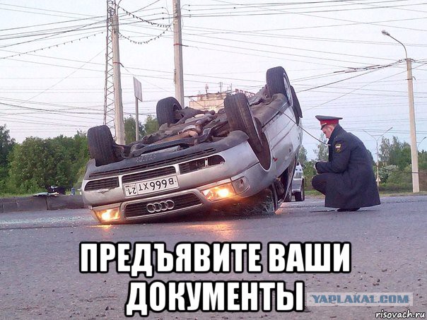 Приколы из сети