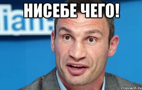 Приколы из сети