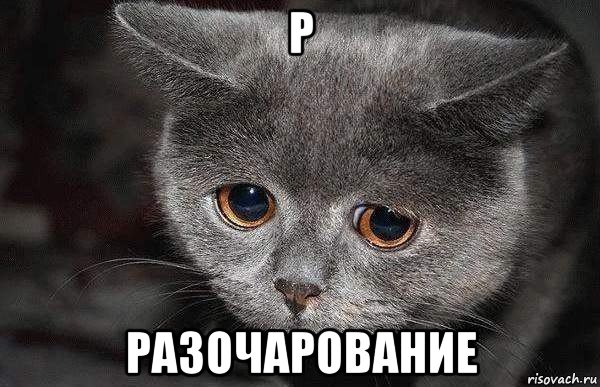 Потапенко про бизнес в России