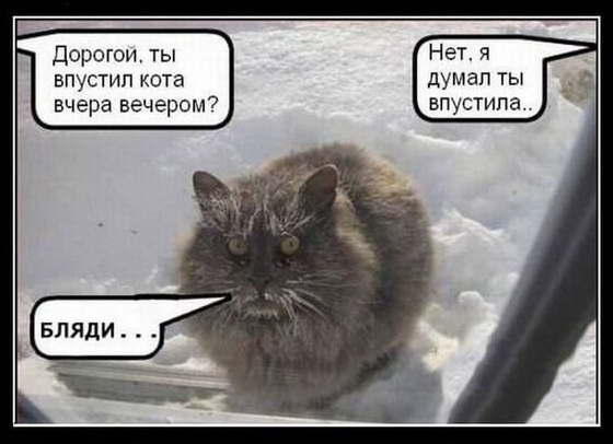 Картинки, СМСки из вашего тырнета